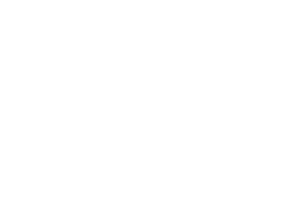 Partner Logo 1