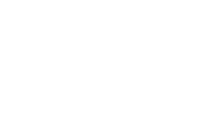 Partner Logo 2