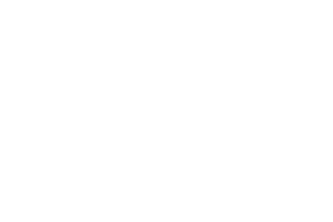 Partner Logo 5