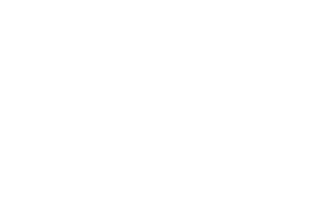 Partner Logo 7